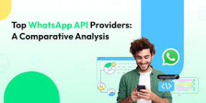 Read more about the article Best WhatsApp Marketing Service Provider in India